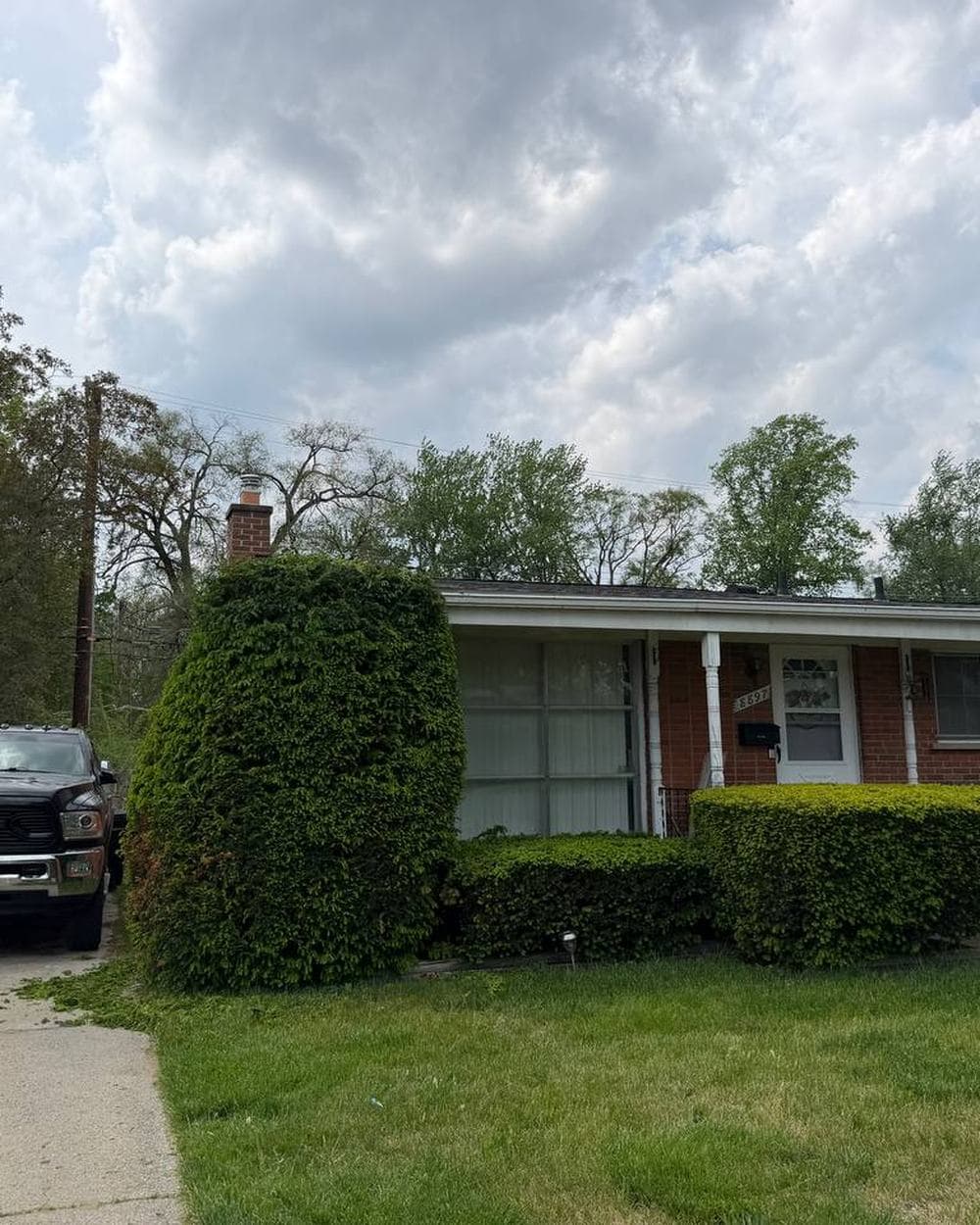 Bush Trimming on a property in Detroit, Michigan