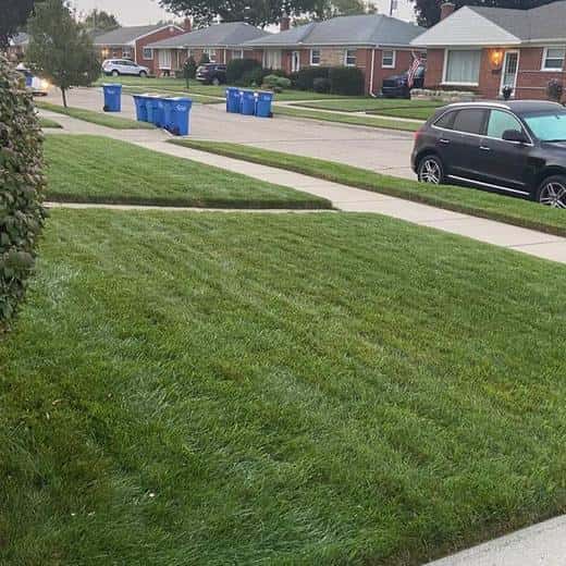 Woolfman Lawn Services on the job in metro Detroit