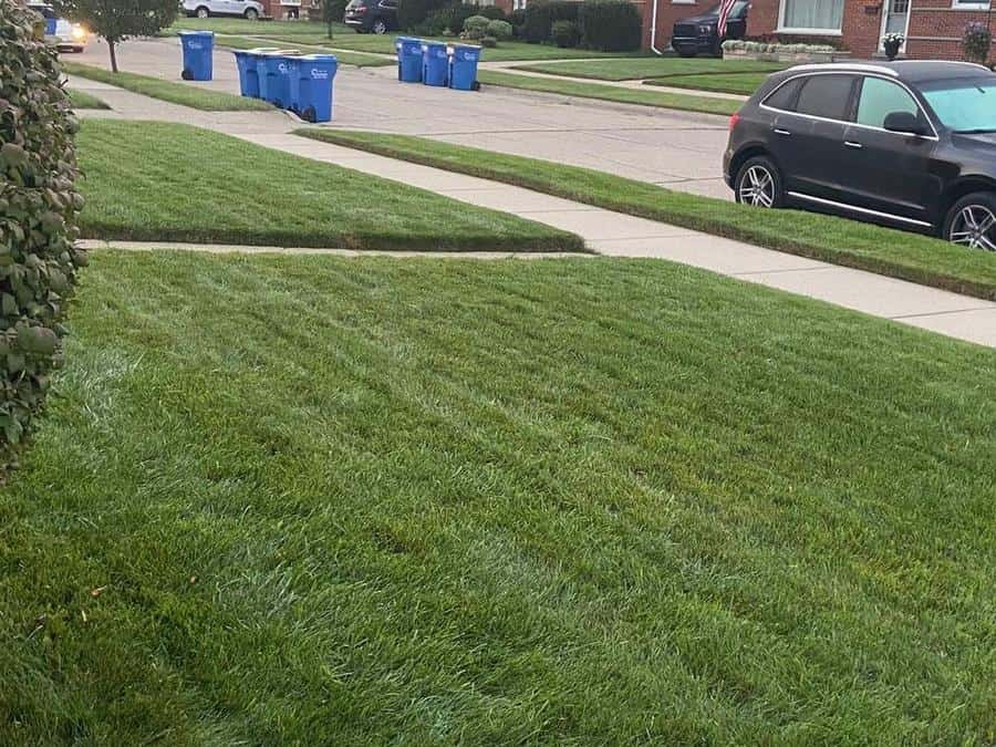 Striped front lawn after a cut in metro Detroit